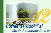 Coffee at Cool Pai 3วัน2คืน