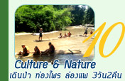 Culture and Nature 3วัน2คืน