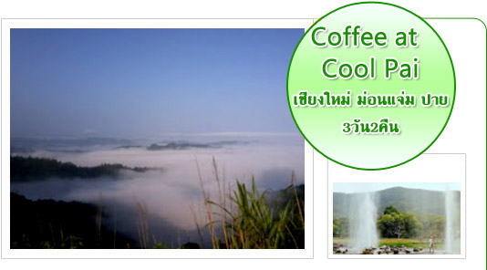 Drinks Coffee at Cool Pai 3 วัน 2 คืน